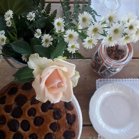 Bed & Breakfast Troisio Torre San Giovanni Ugento
