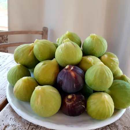 Troisio توري سان جيوفاني أوغينتو