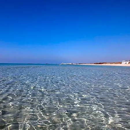Troisio