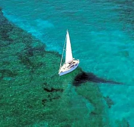 Troisio