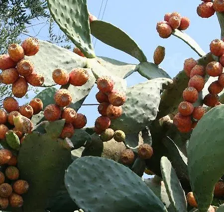 Troisio 3* Torre San Giovanni