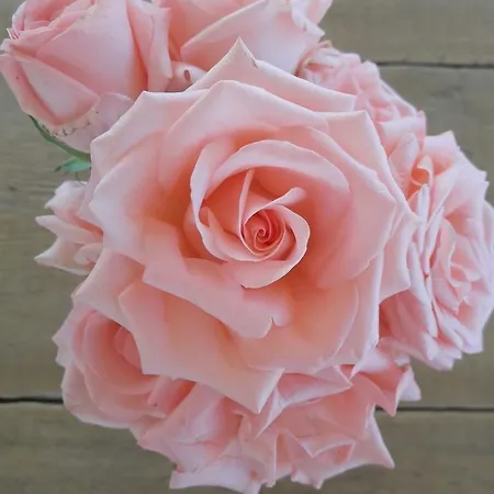 Troisio Couette-café 3*