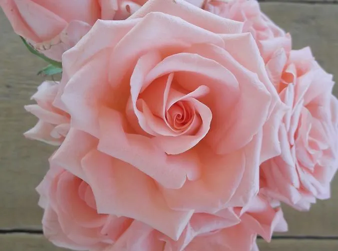 Troisio Bed & Breakfast 3*